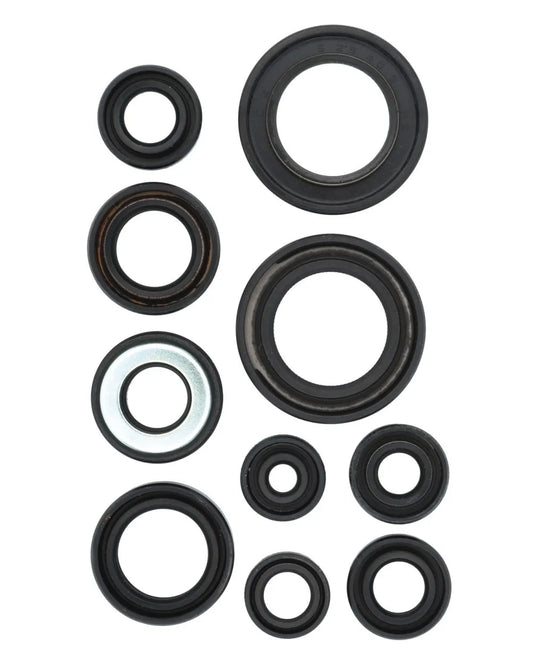 Serie paraoli motore