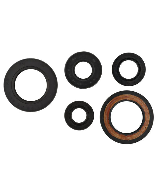 Serie paraoli motore